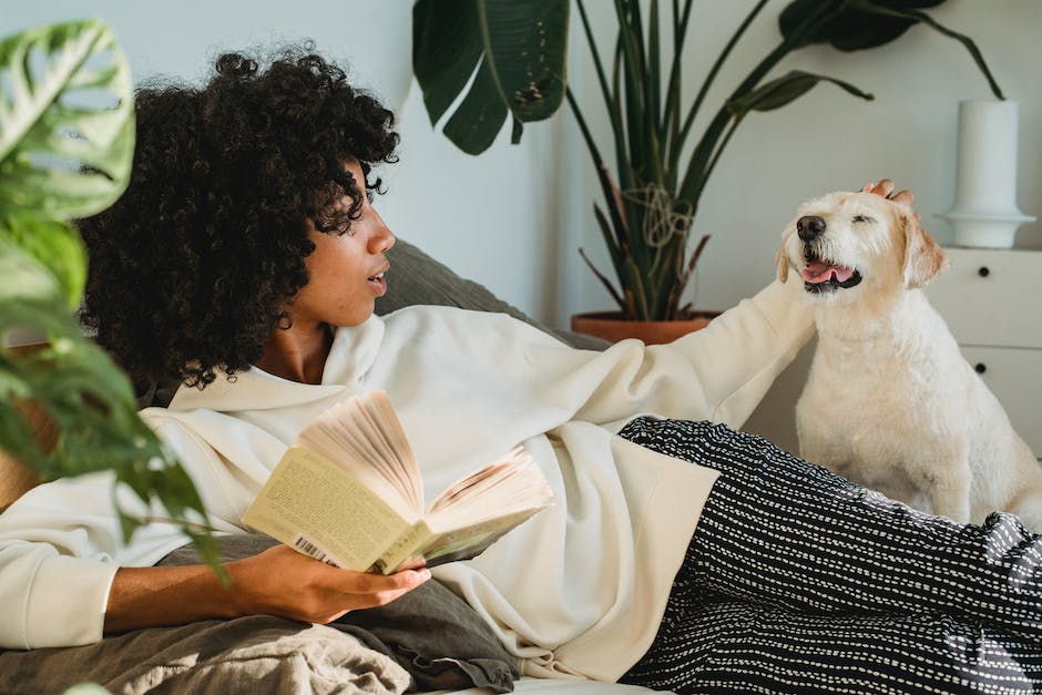 Kosten der Impfung für Hunde